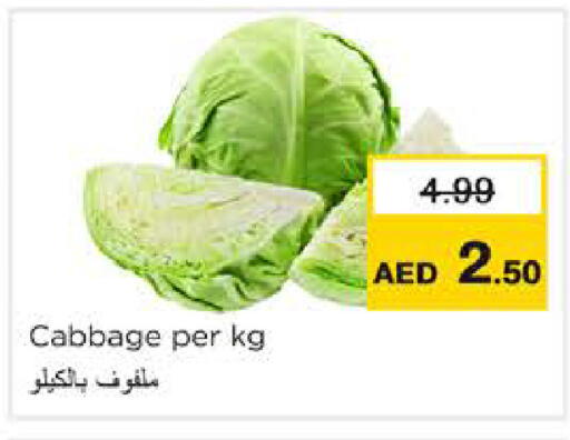 Cabbage available at Nesto Hypermarket in UAE - Ras al Khaimah