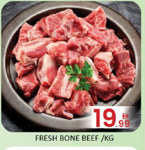 Mango available at مانجو هايبرماركت in الإمارات العربية المتحدة , الامارات - دبي