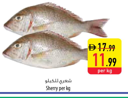 available at Safeer Market in UAE - Umm al Quwain