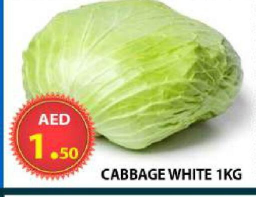 Cabbage available at AL WAHDA DISCOUNTS CENTRE in UAE - Sharjah / Ajman