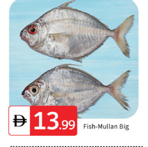 available at TALAL MARKET in UAE - Sharjah / Ajman