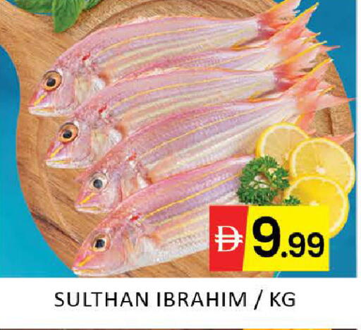 Mango available at مانجو هايبرماركت in الإمارات العربية المتحدة , الامارات - دبي