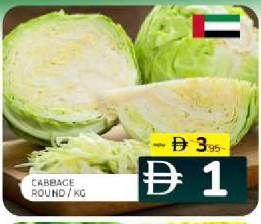 Cabbage available at Al Madina  in UAE - Sharjah / Ajman