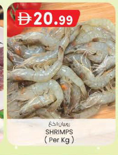 available at ك. الم. للتجارة in الإمارات العربية المتحدة , الامارات - أبو ظبي