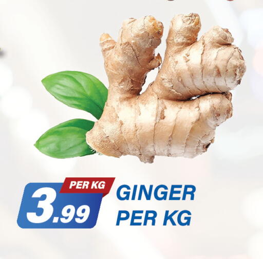 Ginger available at Dream Land in UAE - Dubai