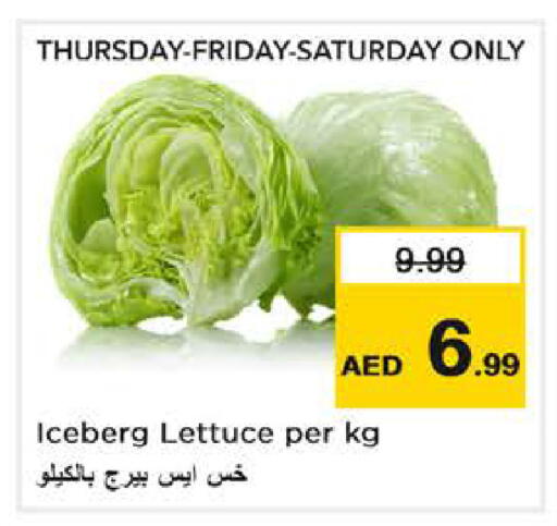 Lettuce available at نستو هايبرماركت in الإمارات العربية المتحدة , الامارات - دبي