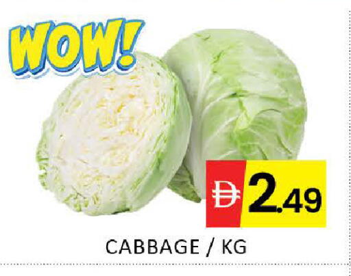 Mango Cabbage available at مانجو هايبرماركت in الإمارات العربية المتحدة , الامارات - دبي