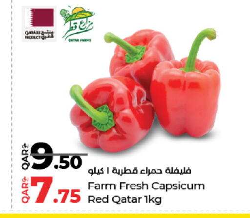 Capsicum from Qatar available at LuLu Hypermarket in Qatar - Umm Salal