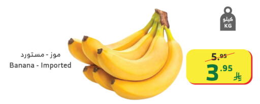 Banana available at الراية in مملكة العربية السعودية, السعودية, سعودية - تبوك