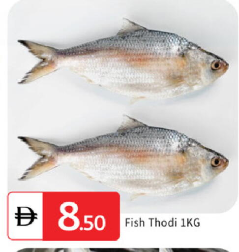 available at سوق طلال in الإمارات العربية المتحدة , الامارات - دبي