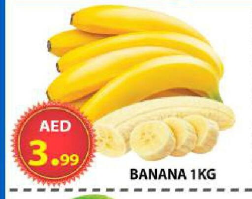 Banana available at AL WAHDA DISCOUNTS CENTRE in UAE - Sharjah / Ajman