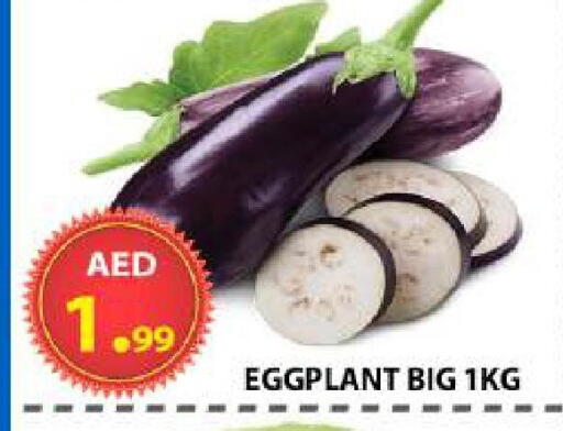 Eggplant available at AL WAHDA DISCOUNTS CENTRE in UAE - Sharjah / Ajman