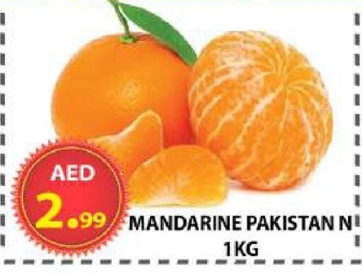from Pakistan available at AL WAHDA DISCOUNTS CENTRE in UAE - Sharjah / Ajman