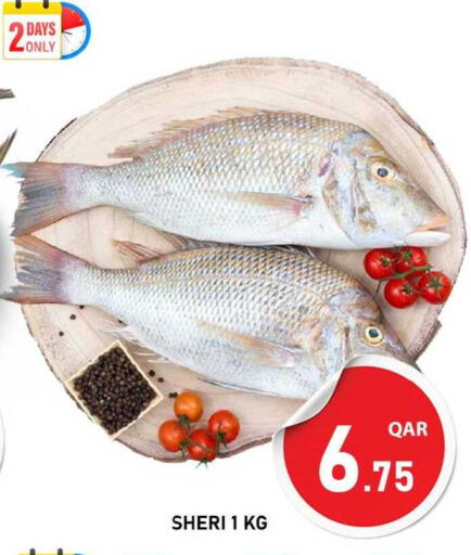 available at Passion Hypermarket in Qatar - Doha