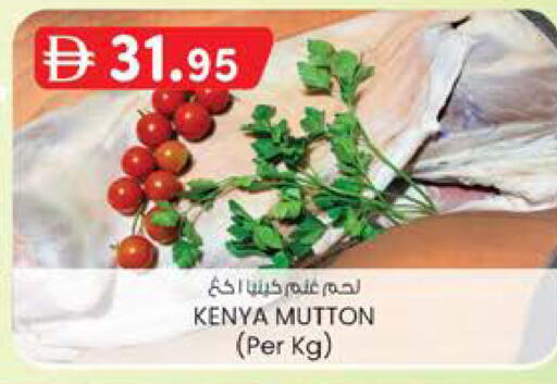 available at ك. الم. للتجارة in الإمارات العربية المتحدة , الامارات - ٱلْفُجَيْرَة‎