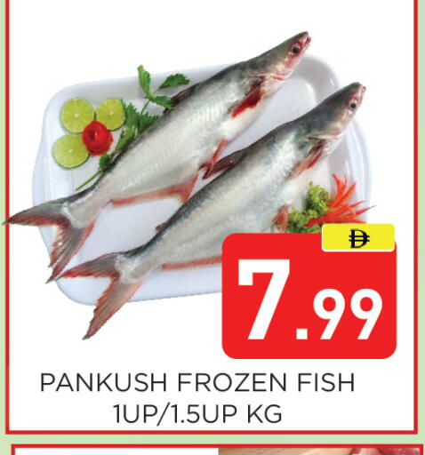 available at عين المدينة هايبرماركت in الإمارات العربية المتحدة , الامارات - الشارقة / عجمان