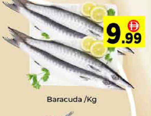 available at ايكو مول & ايكو هايبرماركت in الإمارات العربية المتحدة , الامارات - دبي