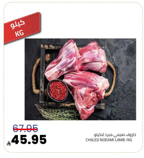 available at أسواق أسترا in مملكة العربية السعودية, السعودية, سعودية - تبوك