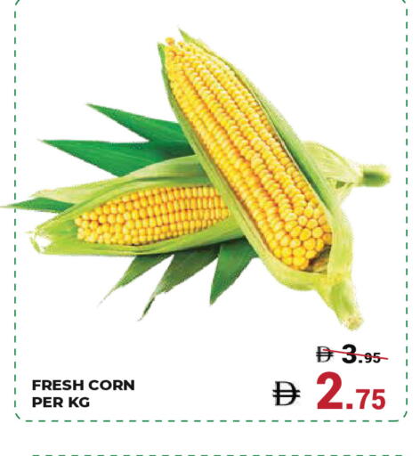 available at Kerala Hypermarket in UAE - Ras al Khaimah