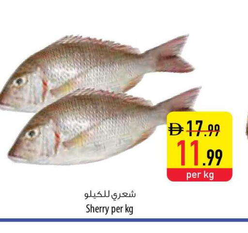 available at Safeer Market in UAE - Ras al Khaimah