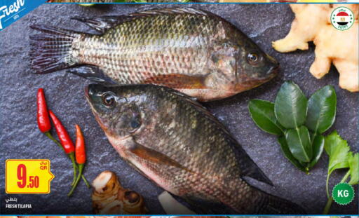 available at شركة الميرة للمواد الاستهلاكية in قطر - الخور