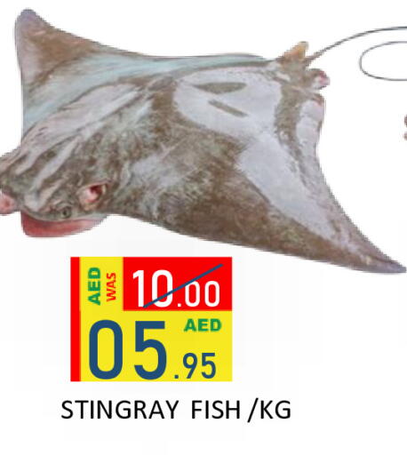 available at رويال جلف هايبرماركت in الإمارات العربية المتحدة , الامارات - أبو ظبي