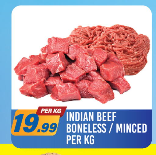 available at دريم لاند in الإمارات العربية المتحدة , الامارات - دبي