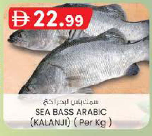 available at ك. الم. للتجارة in الإمارات العربية المتحدة , الامارات - دبي