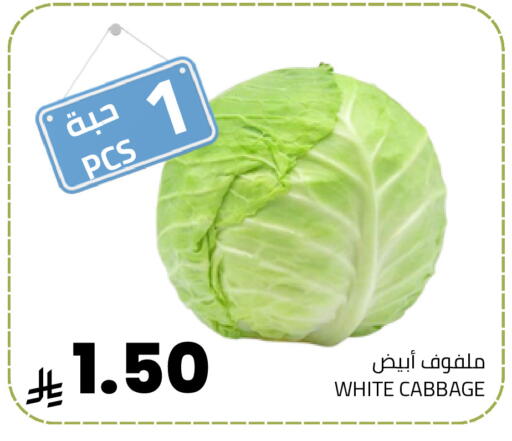 Cabbage available at Astra Markets in KSA, Saudi Arabia, Saudi - Tabuk