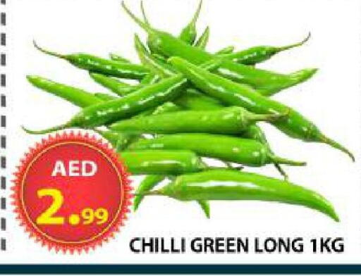 Chilli available at AL WAHDA DISCOUNTS CENTRE in UAE - Sharjah / Ajman