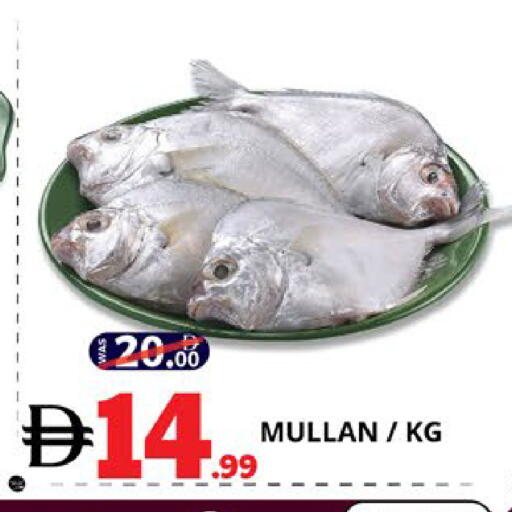 available at EXPRESS AL MADEENA HYPERMARKET LLC in UAE - Abu Dhabi