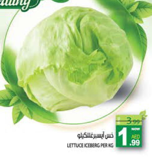 Lettuce available at Hashim Hypermarket in UAE - Sharjah / Ajman