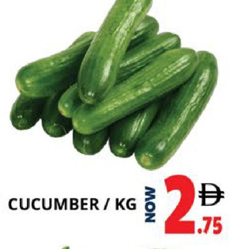 Cucumber available at EXPRESS AL MADEENA HYPERMARKET LLC in UAE - Abu Dhabi