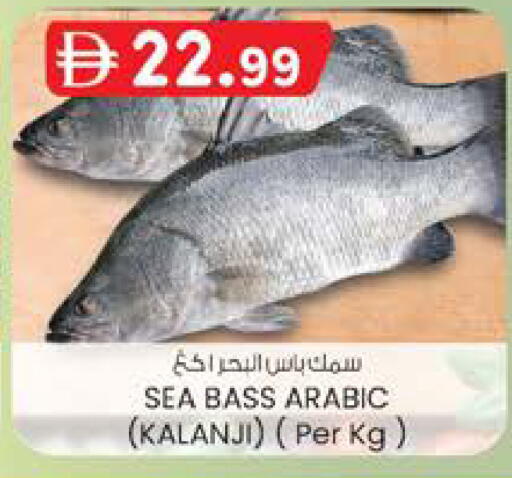 available at K.M Hypermarket in UAE - Al Ain