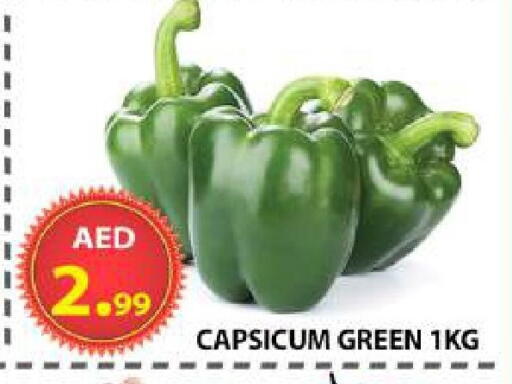 Capsicum available at AL WAHDA DISCOUNTS CENTRE in UAE - Sharjah / Ajman