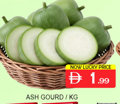 available at Lucky Center in UAE - Sharjah / Ajman