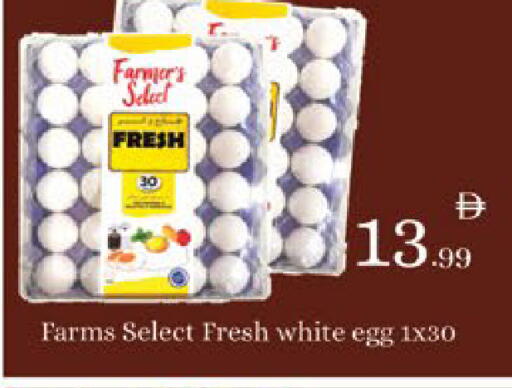 available at ايكو مول & ايكو هايبرماركت in الإمارات العربية المتحدة , الامارات - ٱلْعَيْن‎