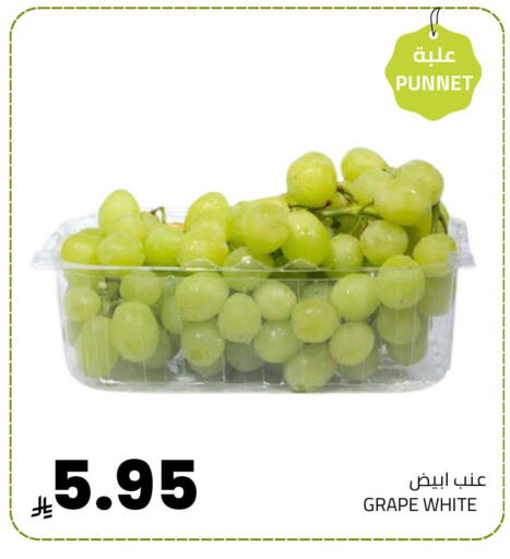 available at Astra Markets in KSA, Saudi Arabia, Saudi - Tabuk
