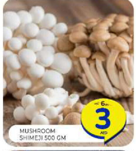 Mushroom available at Al Madina  in UAE - Sharjah / Ajman