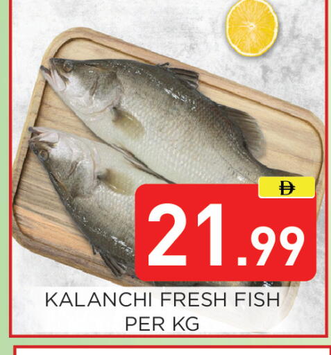 available at عين المدينة هايبرماركت in الإمارات العربية المتحدة , الامارات - الشارقة / عجمان