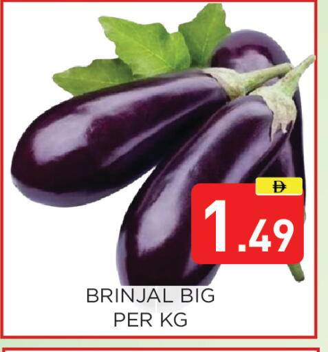 available at عين المدينة هايبرماركت in الإمارات العربية المتحدة , الامارات - الشارقة / عجمان