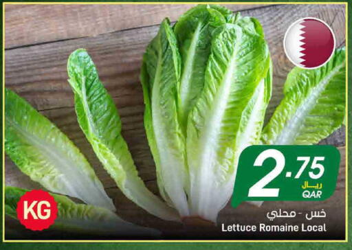 Lettuce available at ســبــار in قطر - الخور