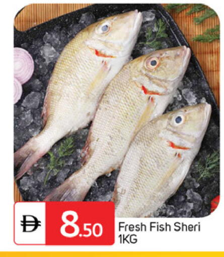 available at سوق طلال in الإمارات العربية المتحدة , الامارات - دبي