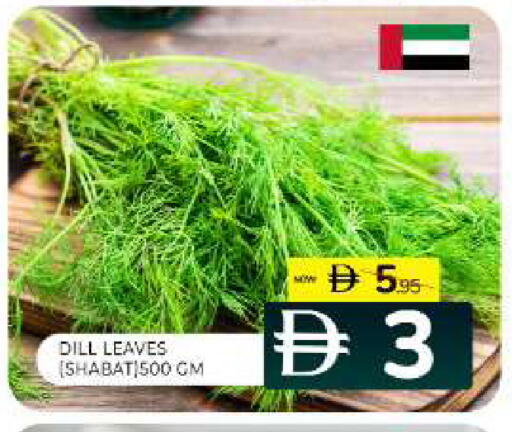Dill available at Al Madina  in UAE - Sharjah / Ajman