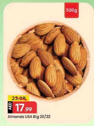 available at مارك & سيف in الإمارات العربية المتحدة , الامارات - دبي