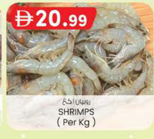 available at ك. الم. للتجارة in الإمارات العربية المتحدة , الامارات - دبي