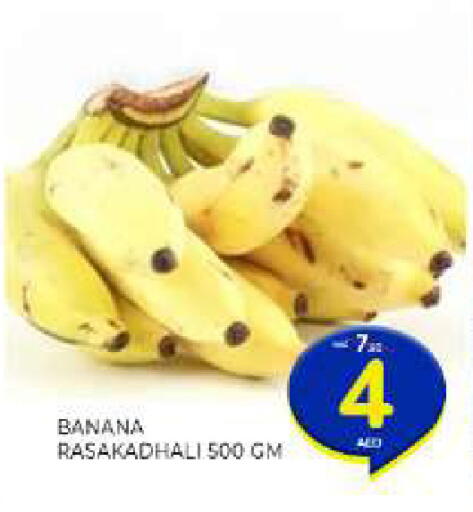 Banana available at المدينة in الإمارات العربية المتحدة , الامارات - الشارقة / عجمان