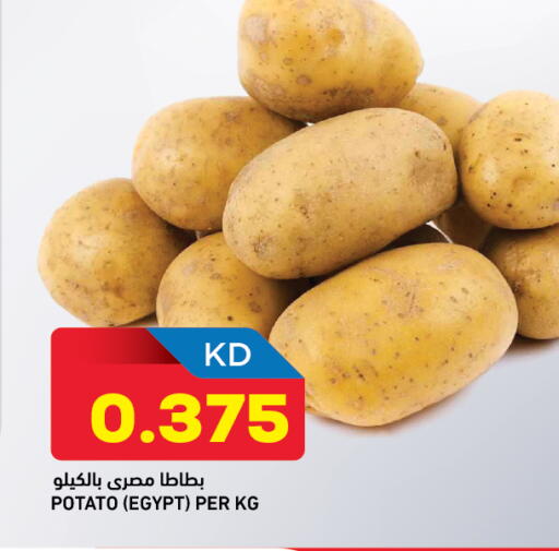 Potato from Egypt available at Oncost in Kuwait - Jahra Governorate