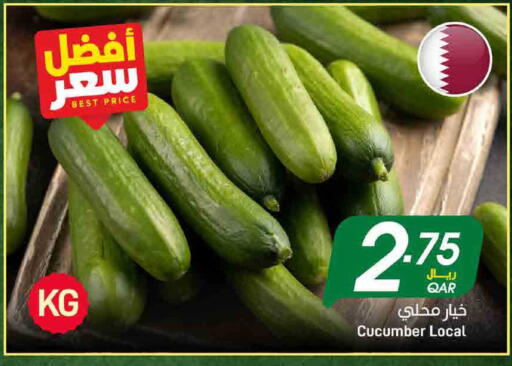 Cucumber available at ســبــار in قطر - الخور