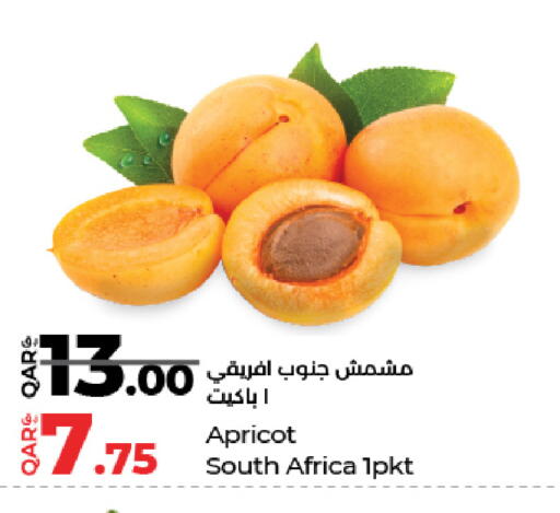 Apricot from South Africa available at LuLu Hypermarket in Qatar - Umm Salal